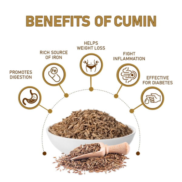 R&R Jeera Whole|Cumin Whole - Image 3
