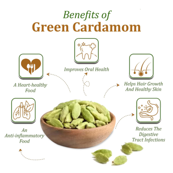 R&R Green Cardamom | Choti Elaichi Whole | 100% Natural - Image 4