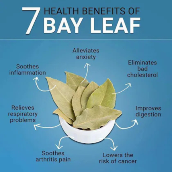 R&R Indian Bay Leaf/Tej Patta - 50 Gm - Image 2