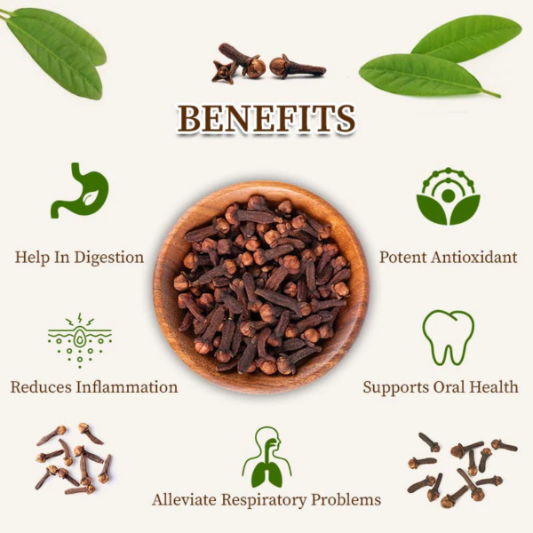 R&R Aroma Laung Whole | Premium Clove Spices - Image 3